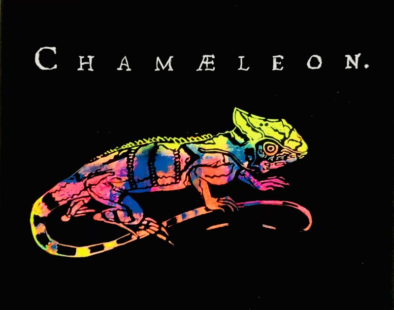 Chamaeleon